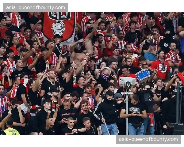 弗罗西诺内主场因球迷投掷烟火比赛中断十分钟